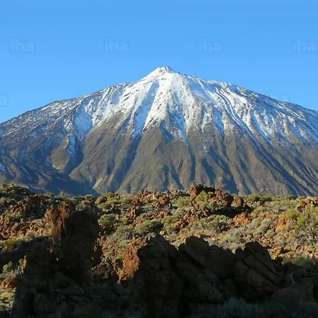 アパート Americas Ocean View El Dorado プラヤ・デ・ラス・アメリカス
